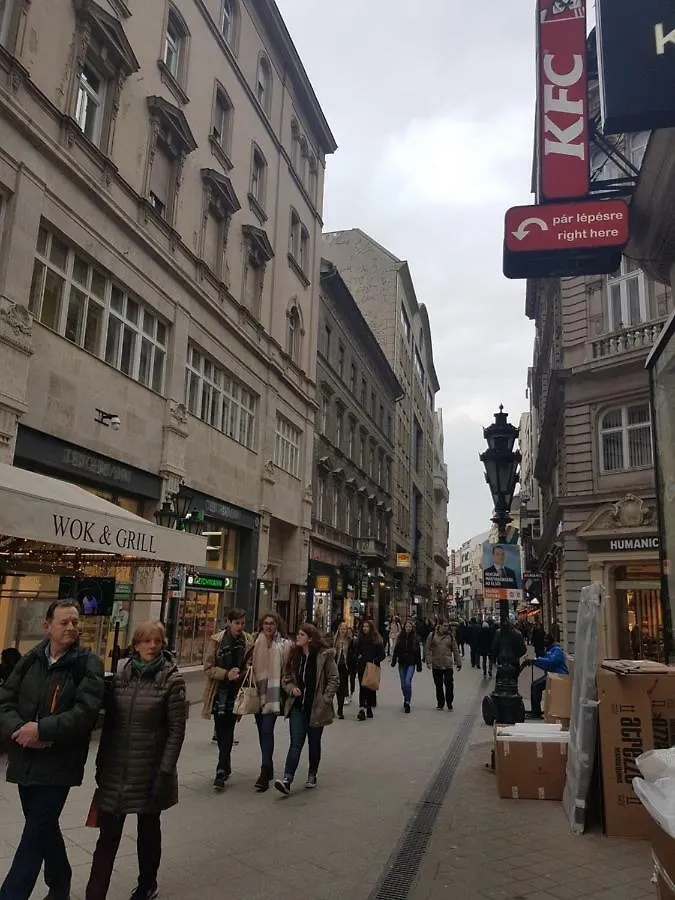 Choosy City Flat Budapest 0*,